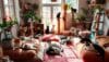 Cat Rescue Organizations