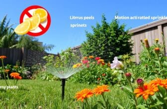 how to keep cats away from your yard