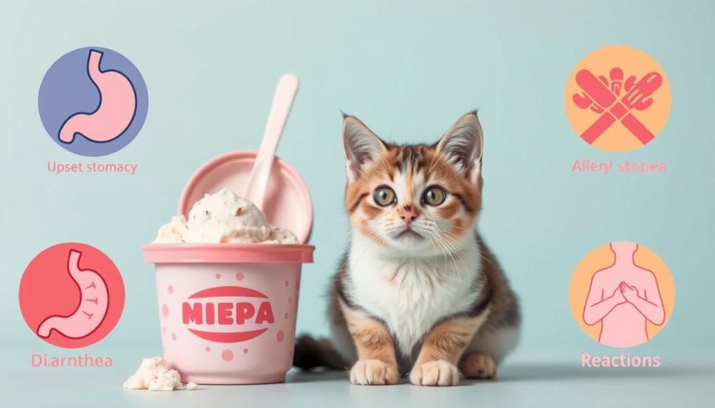 feline health issues feline health issues