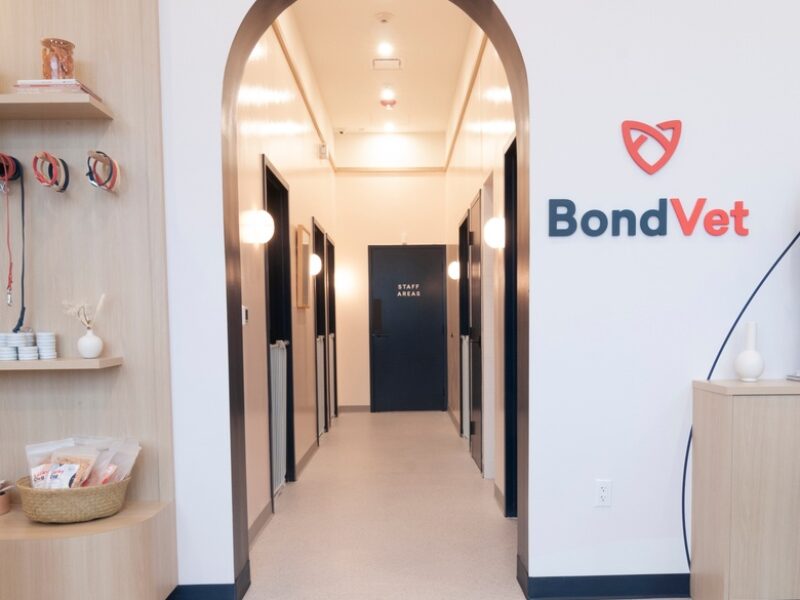 Bond Vet – Hell’s Kitchen