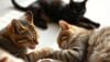 Cats Groom Themselves