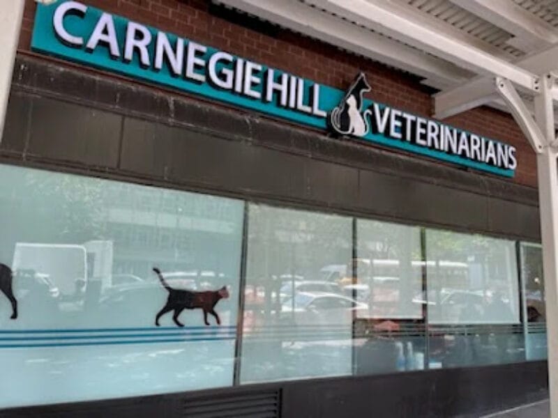 Carnegie Hill Veterinarians