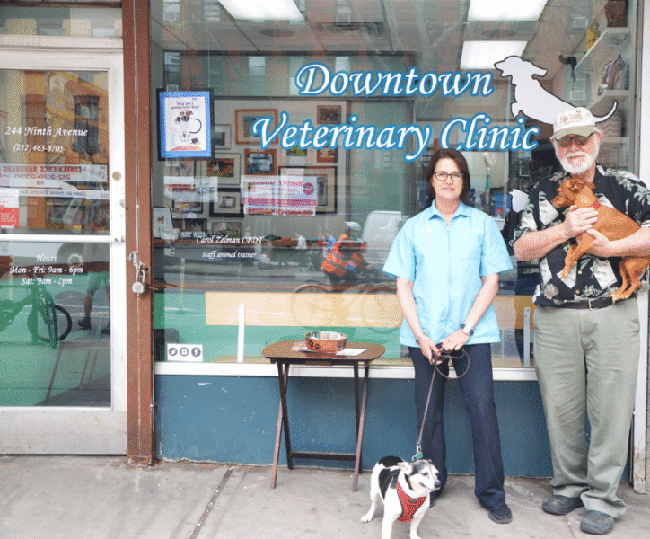 Downtown veterinary clinic