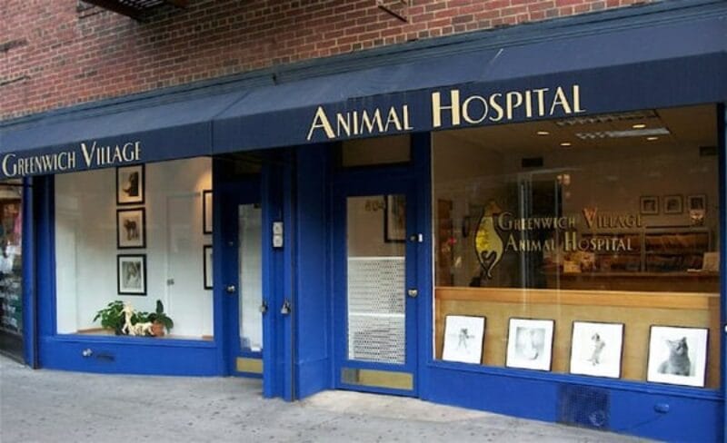 Greenwich Village Animal Hospital