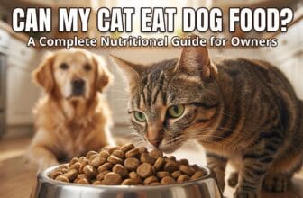 Can My Cat Eat Dog Food
