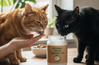 Can Cats Eat Coconut Oil