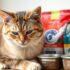 Can Cats Eat Watermelon? Benefits, Risks & Feeding Guide