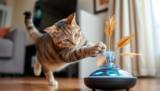 Best Motion-Activated Cat Toys That Keep Your Feline Active All Day