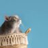 The Complete Guide to Mange in Cats: From Diagnosis to Recovery