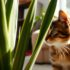 Are Tulips Toxic to Cats? A Comprehensive Guide for Pet Owners
