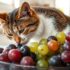 Unleashing the Truth: Can Cats Safely Enjoy the Sweetness of Blueberries?