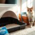 Car Travel with Cats: Tips for a Smooth Journey