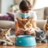 Essential Vaccinations for Cats: What You Need to Know