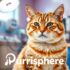 Munchkin Cat Breed: The Adorable Breed That Redefines Feline Fun!