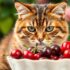 Can Cats Eat Raspberries? The Amazing Benefits and Hidden Dangers Revealed!