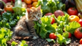 Can Cats Eat Lettuce? The Surprising Answer Every Cat Owner Should Know