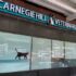 Gramercy Park Animal Hospital