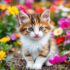 Savannah Cats: The Ultimate Feline Companions for Adventurous Souls