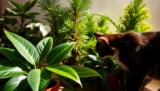 15 Common Houseplants That Are Poisonous to Cats