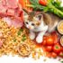 10 Vital Signs of a Healthy Cat Every Loving Owner Must Know